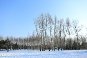 伏尔加庄园度假区游记图文-雪乡穿越雪谷—— 三口之家旅拍东北游