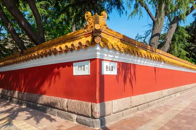 鱼山路