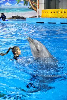 合肥海洋世界-合肥-C-IMAGE