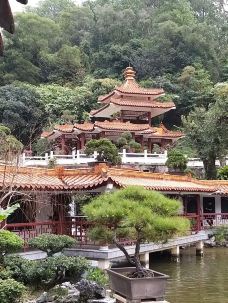 仙湖植物园-深圳-M25****6369