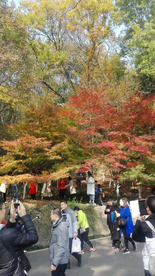 栖霞禅寺牌坊旅行图片 3