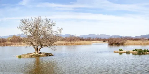 珠海橫琴濱海濕地公園