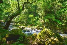 仙寓山景区-石台-夏吹夏夜风