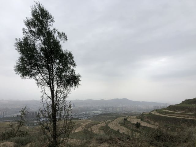 关山森林公园旅行图片 13