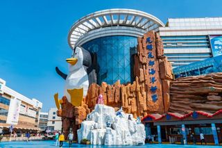 国庆薅羊毛攻略|昆明呈贡斗南现“地上星河”，一日游性价比无敌手！