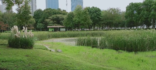 后襄河公园旅行图片 4