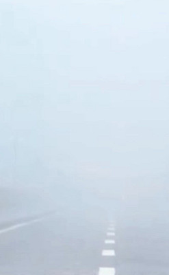 恋爱当去西岭雪山，超大迷雾，红瓦房，松鼠