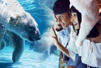 大连老虎滩海洋+滨海环线一日游【老虎滩 迷你团 家庭团】【全景大连 亲子游 门票全含 海洋馆 亲子游】