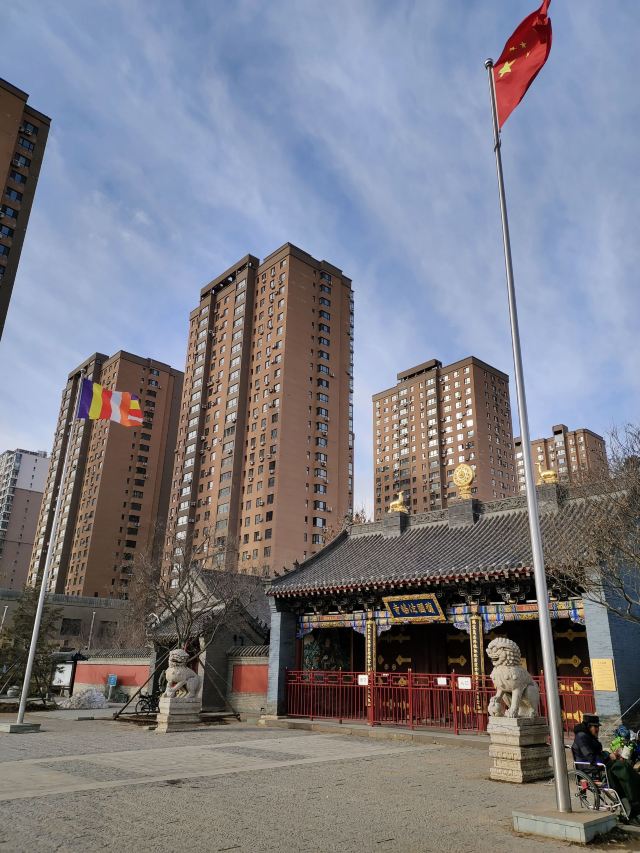 皇姑北塔公园旅行图片 8