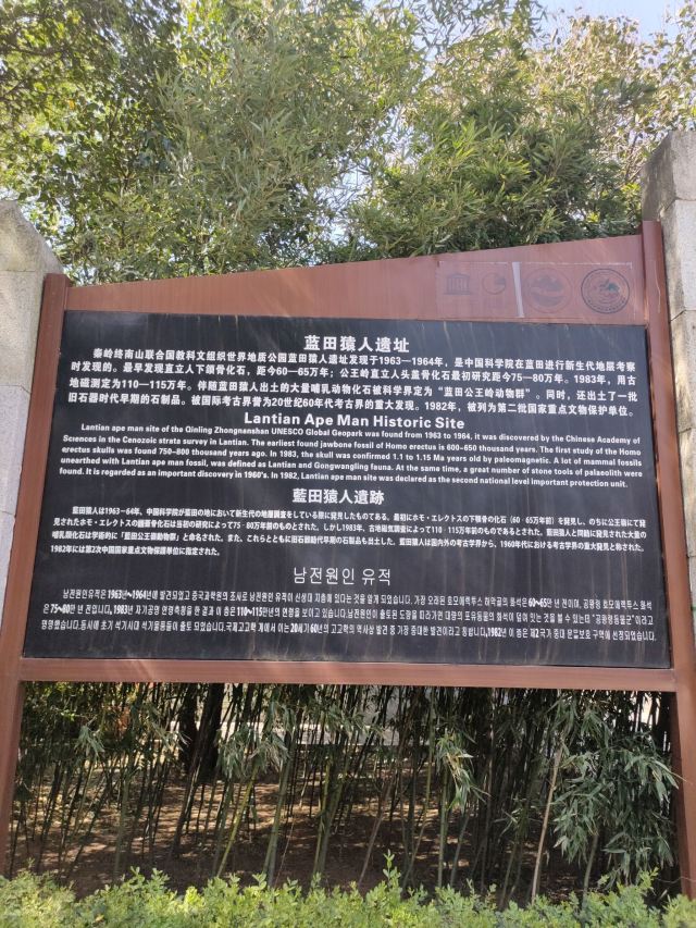 蓝田猿人遗址旅行图片 3