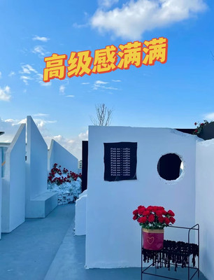 深圳首发天台冰川玫瑰这该死的高级感