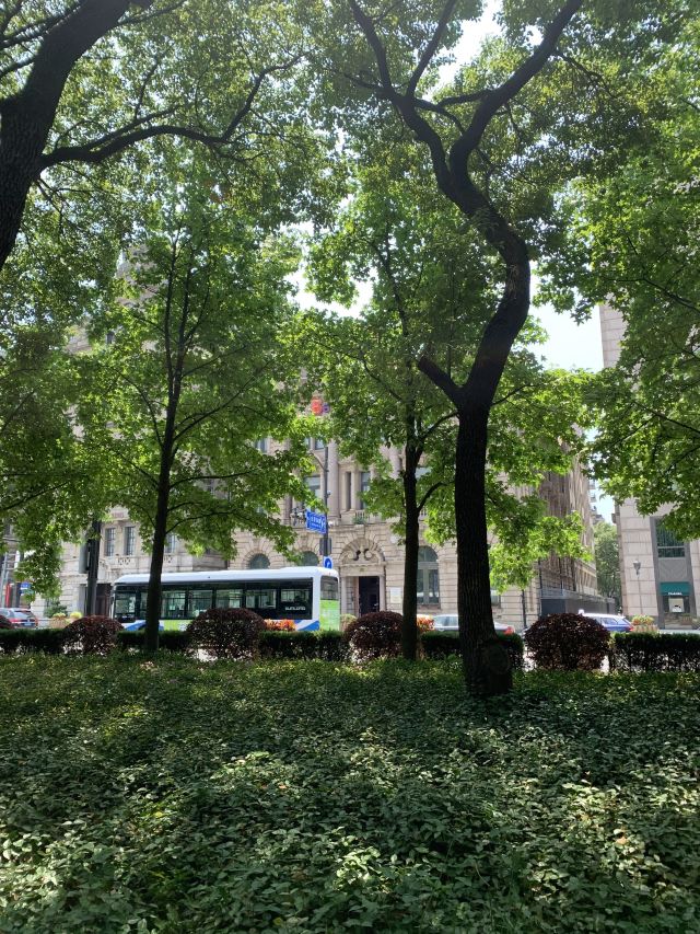 黄浦公园旅行图片 2