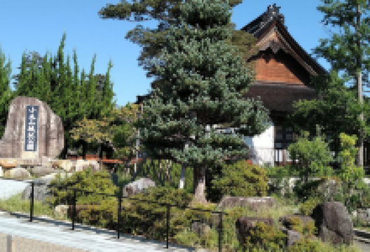 小丸山城址公园景点图片