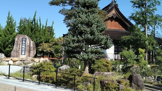 小丸山城址公園