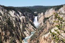 黄石大峡谷-帕克县-chenweiwen