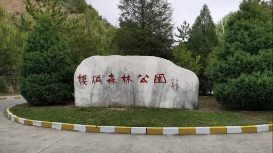 婁煩森林公園