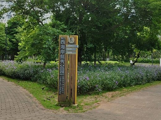 海口西海岸挺秀公园