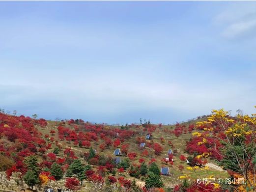 四方山枫叶谷