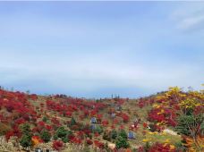 四方山枫叶谷-白山-路小雨、