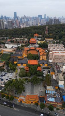 宝通禅寺-武汉-阿诚的白日梦