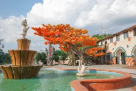 1-Day Baili Rhododendron Scenic Area Tour: Blossoming Rhododendrons, A Timeless Kiss