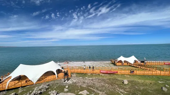 青海湖最美免費湟魚觀景台