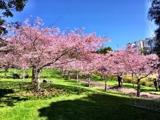 奥塔里植物园-惠灵顿-gracewyin