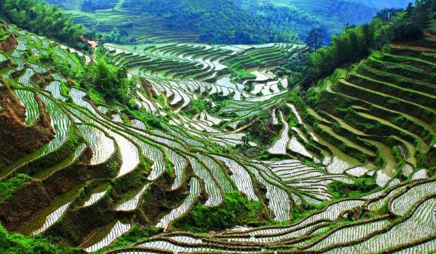 桃源梯田