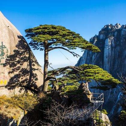 黄山风景区+婺女洲度假区+婺源篁岭景区4日3晚私家团