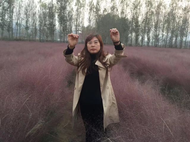 黑马关森林公园旅行图片 1
