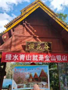 樱花谷-腾冲-pekingwang