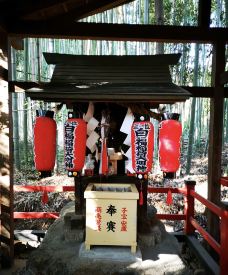 野宫神社-京都-小小呆60