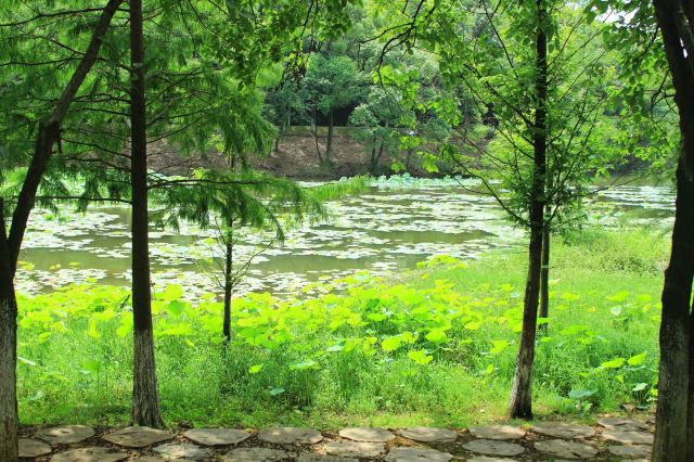 龙灵山生态公园旅行图片 2