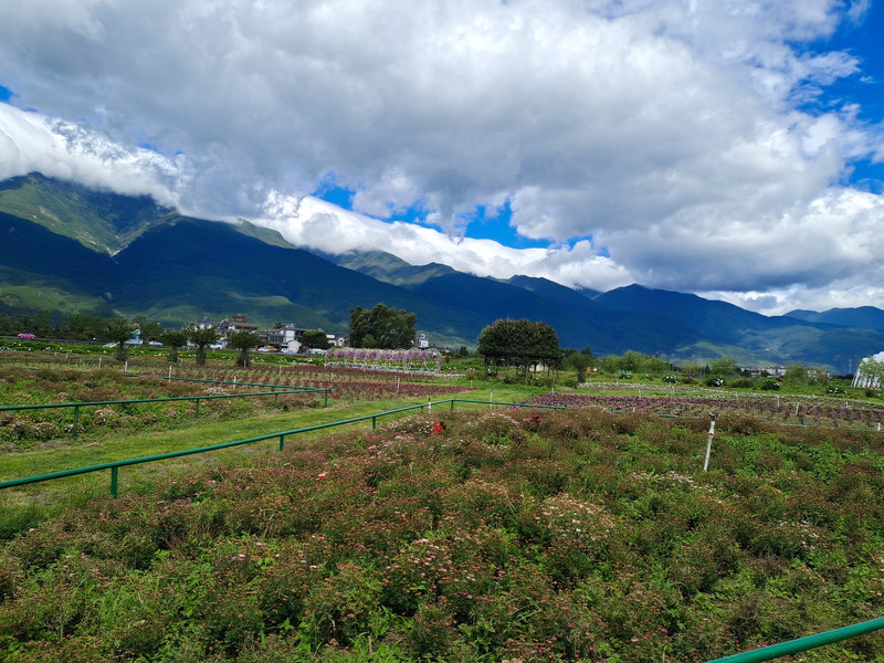 昆明旅游网