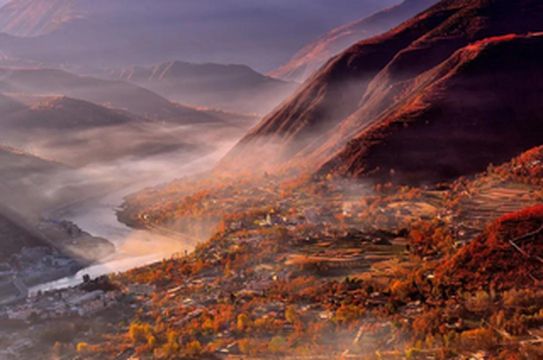 万亩古梨树，秋末初冬一抹红，金川的网“红”来了！