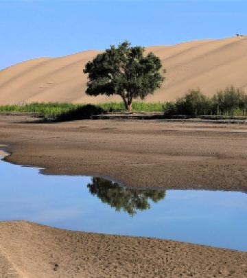 博湖游记图文-大美新疆游之十二 - 浩瀚博斯腾湖、神秘罗布人村寨