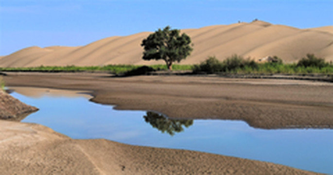 新疆游记图片] 大美新疆游之十二 - 浩瀚博斯腾湖、神秘罗布人村寨