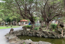 玉成公园景点图片