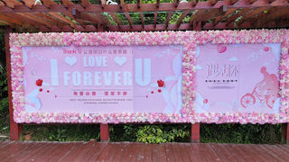 VT记 海南 海口 万宁 陵水 三亚 8日7夜 双宝游