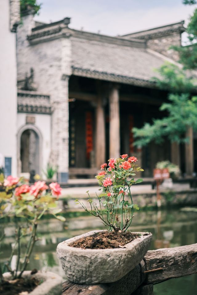 刘园古徽州文化园旅行图片 1