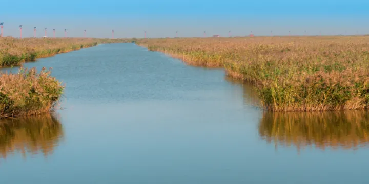 紅海灘國家風景廊道內景點-葦蕩迷宮