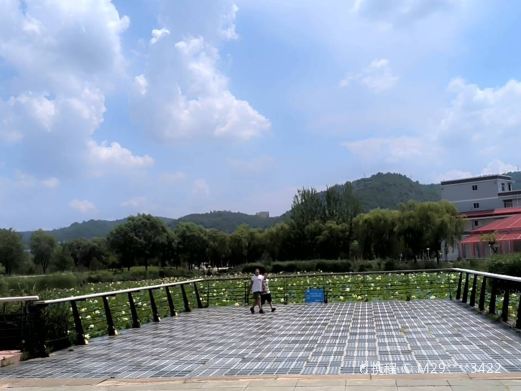 西北川公园