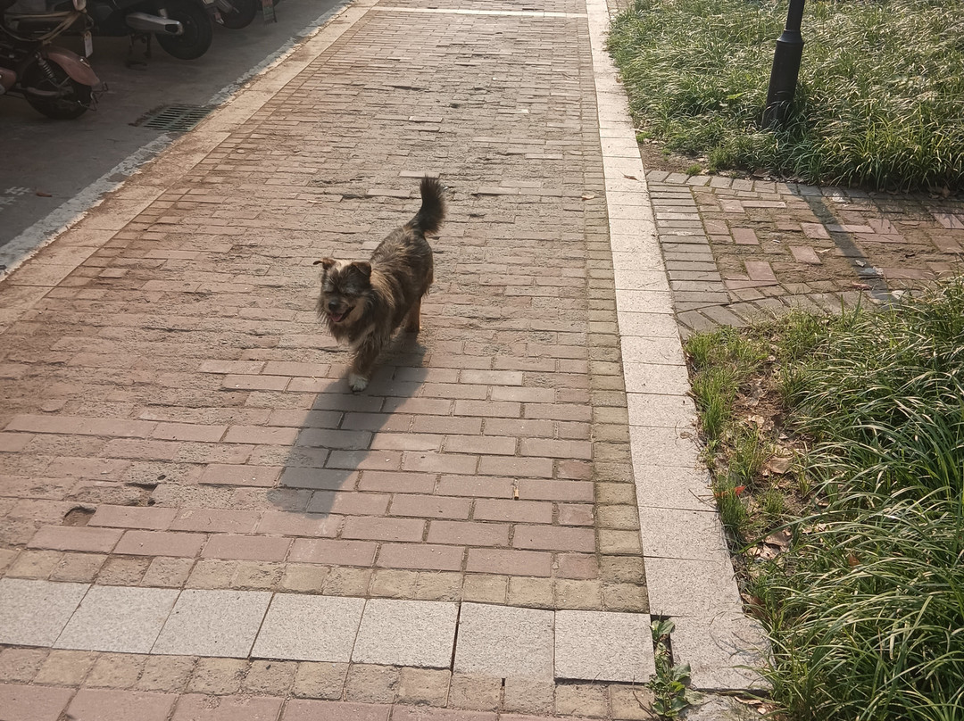 德清莫干山尊蓝山居主图