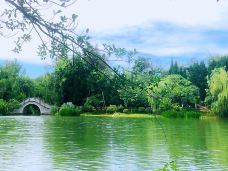 南郊公园-成都-秋露晶莹