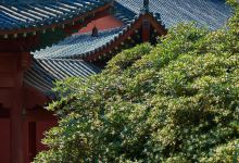 四祖寺景点图片