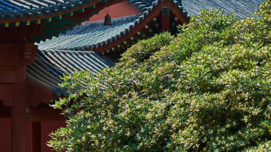 四祖寺