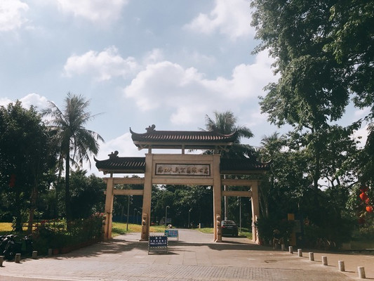 海口自由行,感受椰城的无限魅力