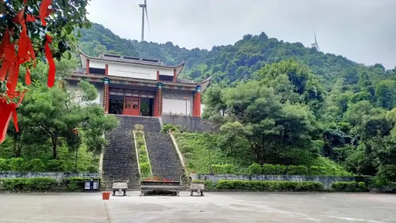 白鶴觀竹海