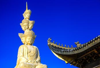 峨眉山金顶一日游【8人内小团含门票索道景区导游可选加乐山】【峨眉当地导游带玩，讲解，陪同，避免盲目式打卡】