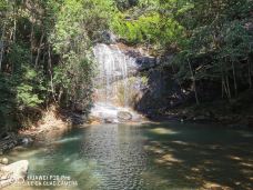 福建龙栖山国家级自然保护区-将乐-YoYo_6L4Q4G2E